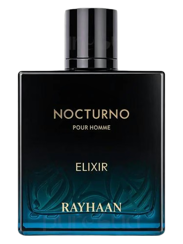 Rayhaan Nocturno Elixir | Eau de Parfum – 100ml | Deep Woody Spicy Fragrance
